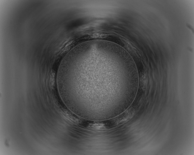 X0000096730554200802121317