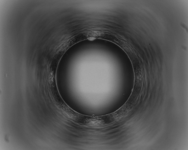 X0000096730555200802121317