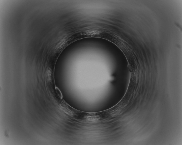 X0000096730556200802121317