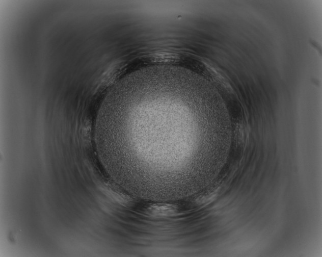 X0000096730557200802121317