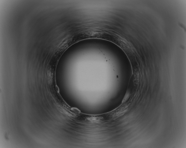 X0000096730558200802121317