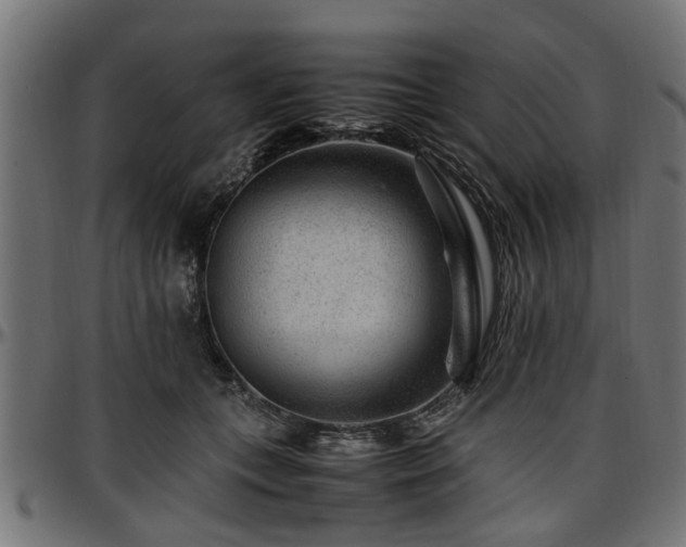 X0000096730559200802121317