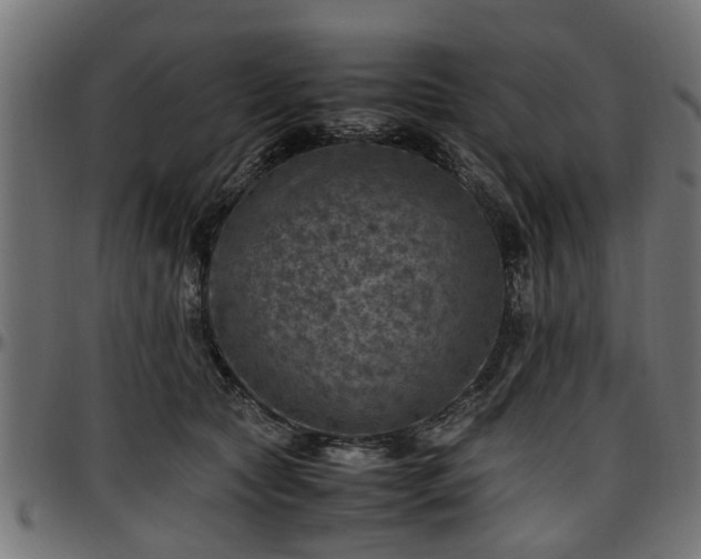 X0000096730561200802121317