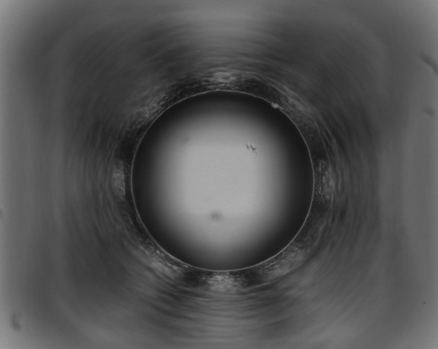 X0000096730562200802121317
