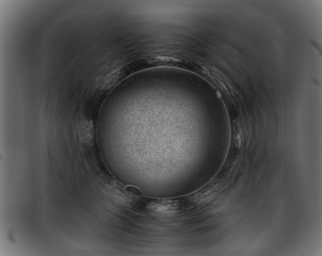 X0000096730563200802121317