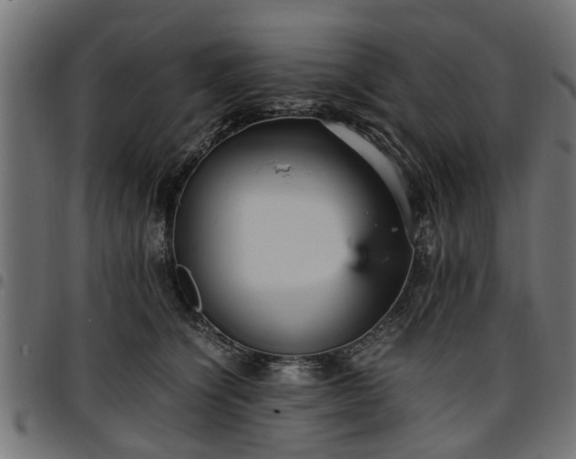X0000096730564200802121317