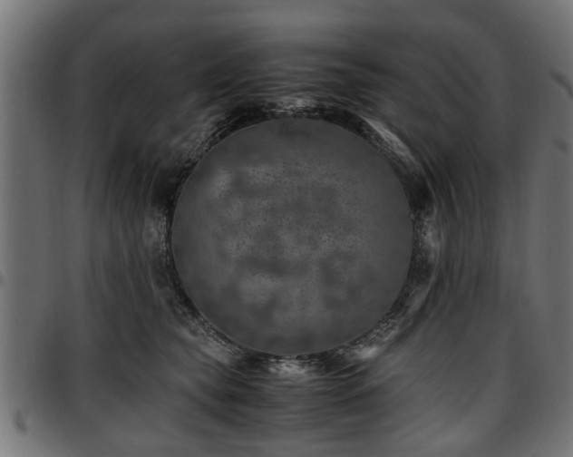 X0000096730565200802121317