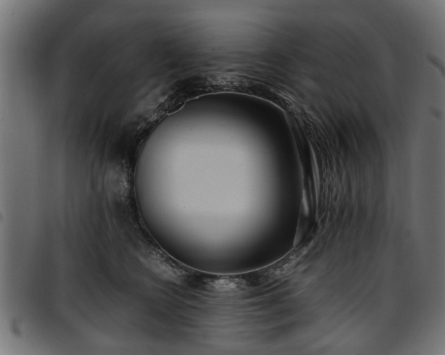 X0000096730566200802121317