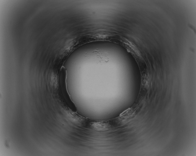 X0000096730568200802121317