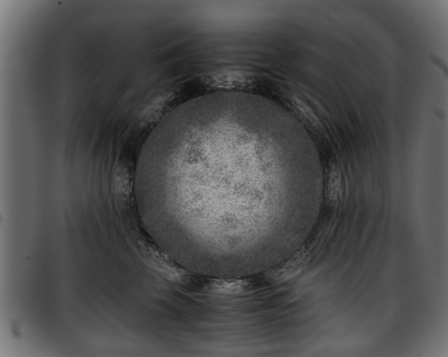 X0000096730569200802121317
