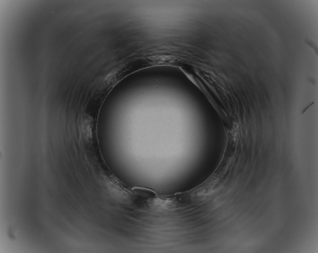 X0000096730570200802121317