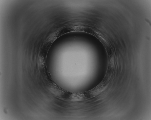 X0000096730571200802121317