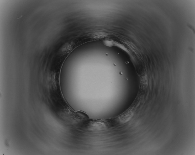X0000096730572200802121317