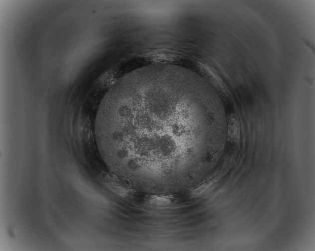 X0000096730573200802121317