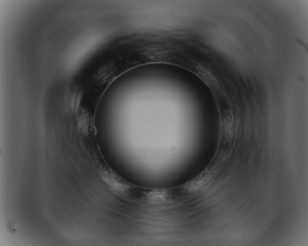 X0000096730574200802121317