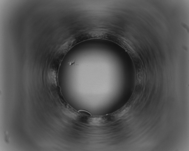 X0000096730575200802121317
