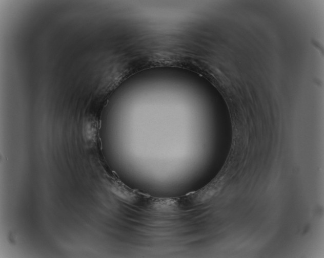 X0000096730576200802121317