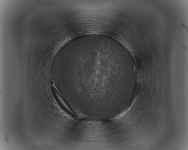 X0000096730577200802121317