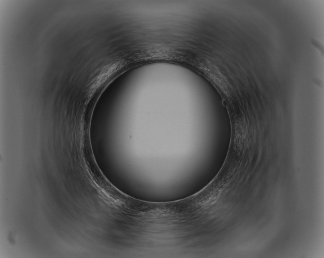 X0000096730578200802121317