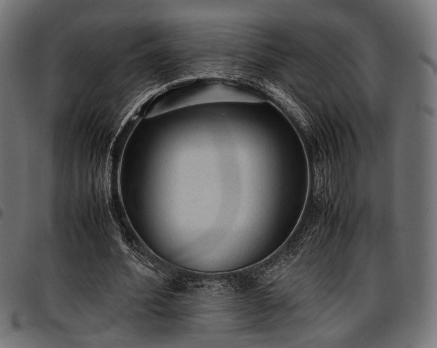 X0000096730580200802121317