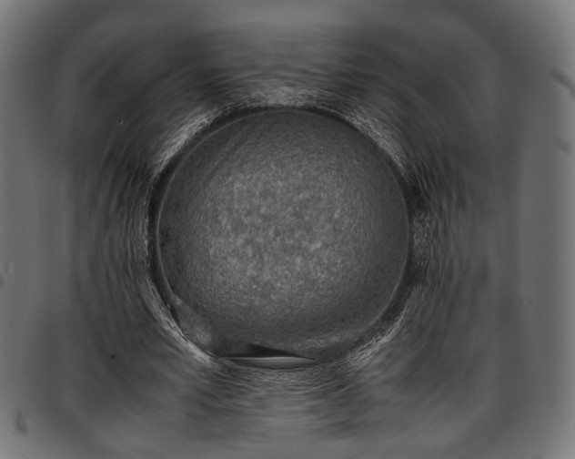 X0000096730581200802121317