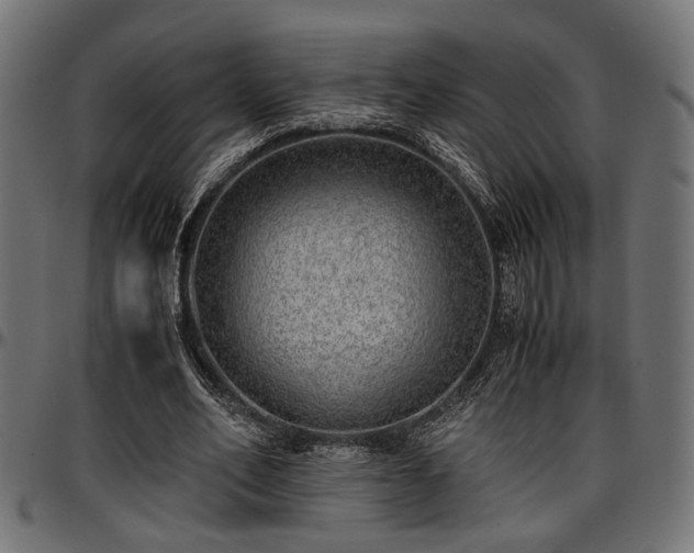 X0000096730582200802121317