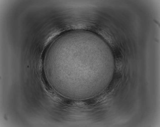 X0000096730583200802121316