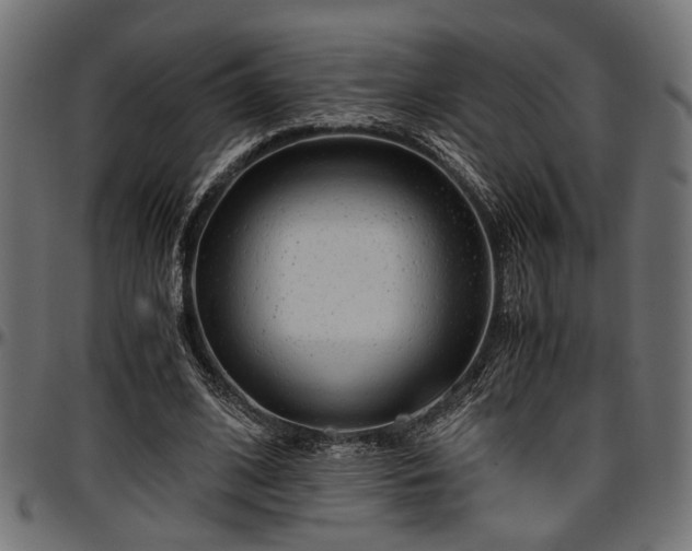 X0000096730584200802121316