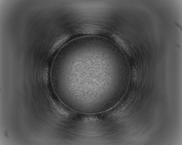 X0000096730586200802121316