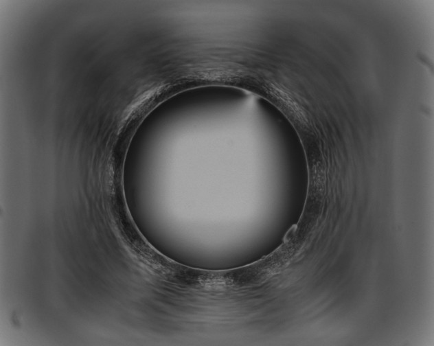 X0000096730587200802121316