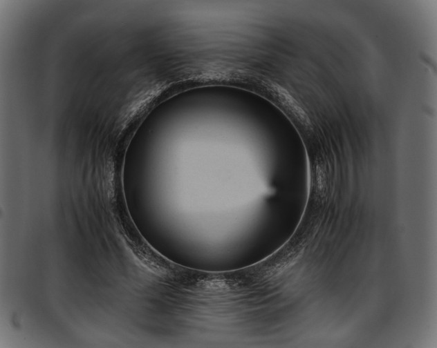 X0000096730588200802121316