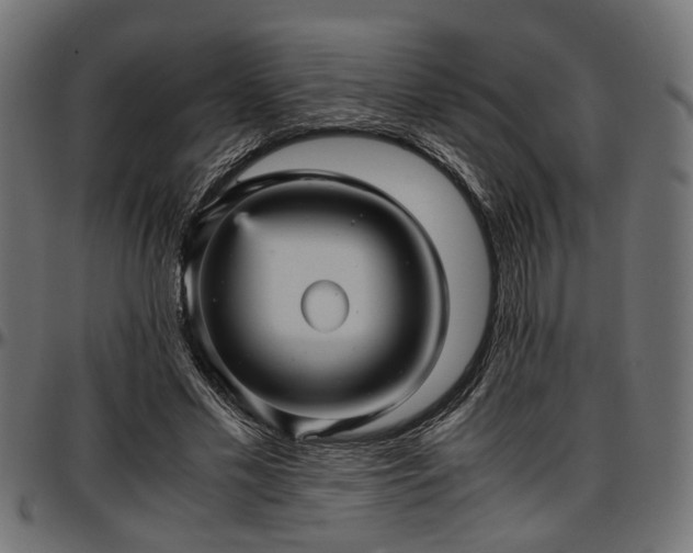 X0000096730589200802121316