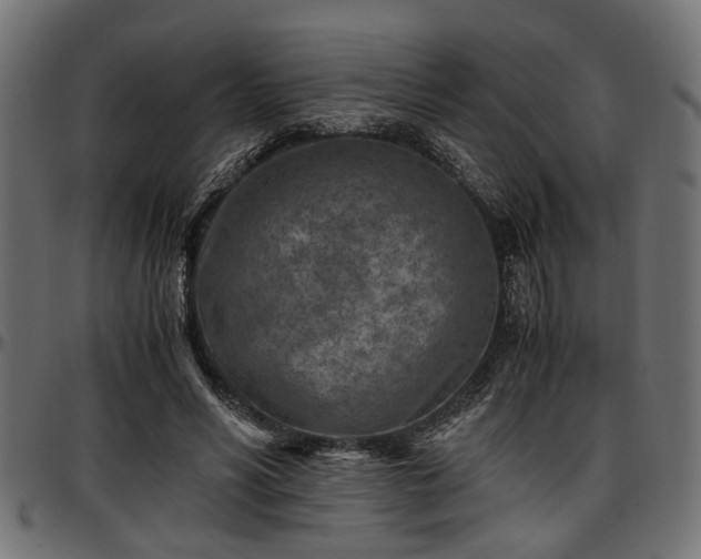 X0000096730590200802121316