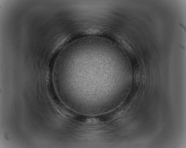 X0000096730591200802121316
