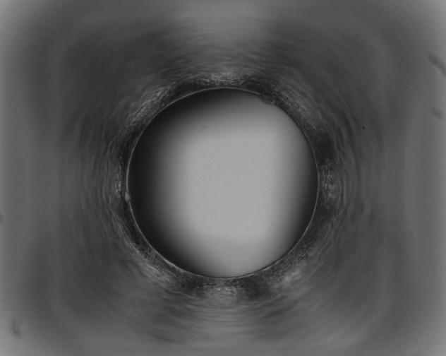 X0000096730593200802121316
