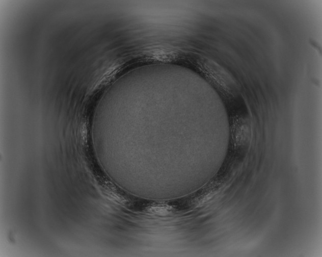 X0000096730595200802121316