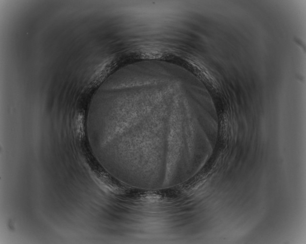 X0000096730598200802121316
