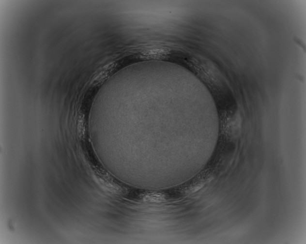 X0000096730599200802121316
