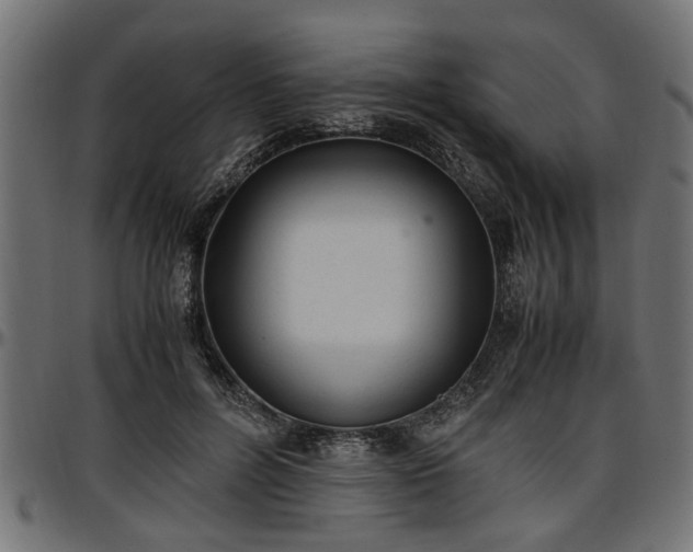 X0000096730600200802121316