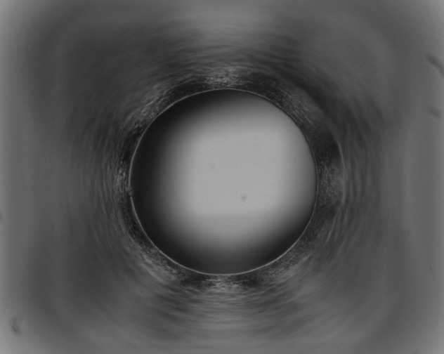 X0000096730601200802121316