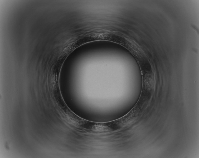 X0000096730605200802121316