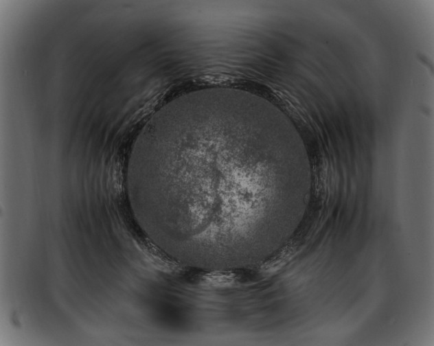 X0000096730606200802121316
