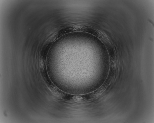 X0000096730607200802121316