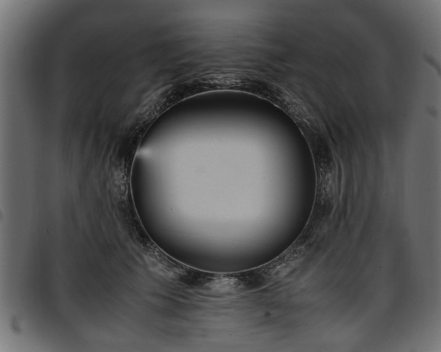 X0000096730609200802121316