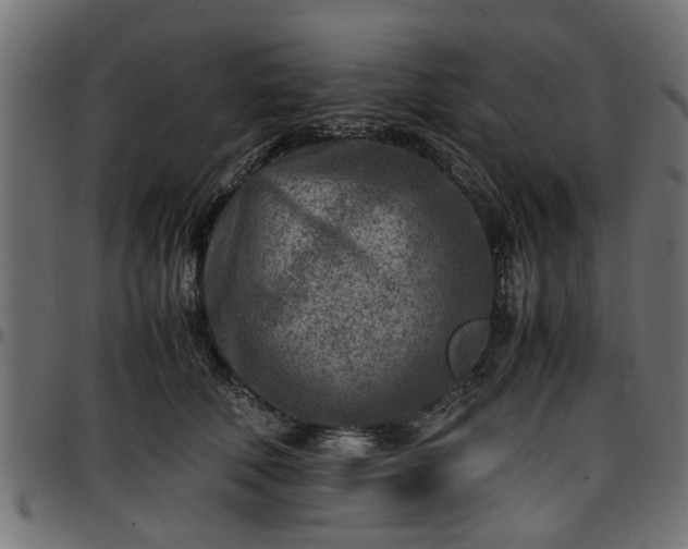 X0000096730610200802121316