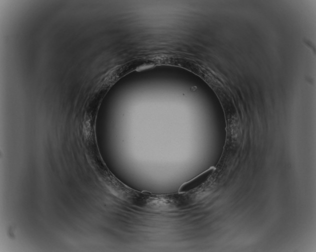 X0000096730611200802121316