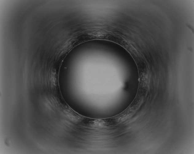X0000096730612200802121316