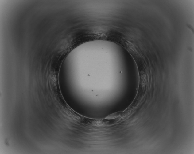X0000096730613200802121316