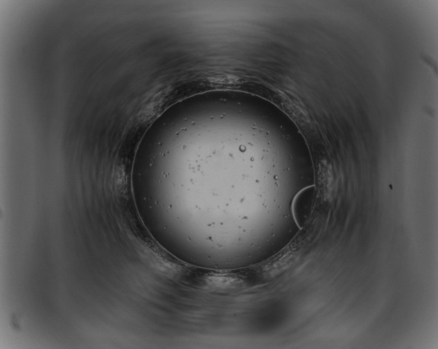 X0000096730614200802121316