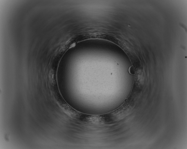 X0000096730615200802121316